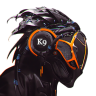 StealthK9